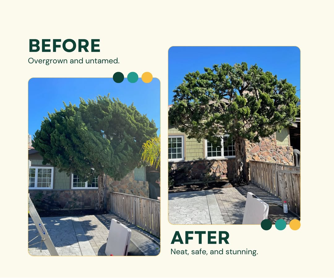 Del Mar Precision Trimming