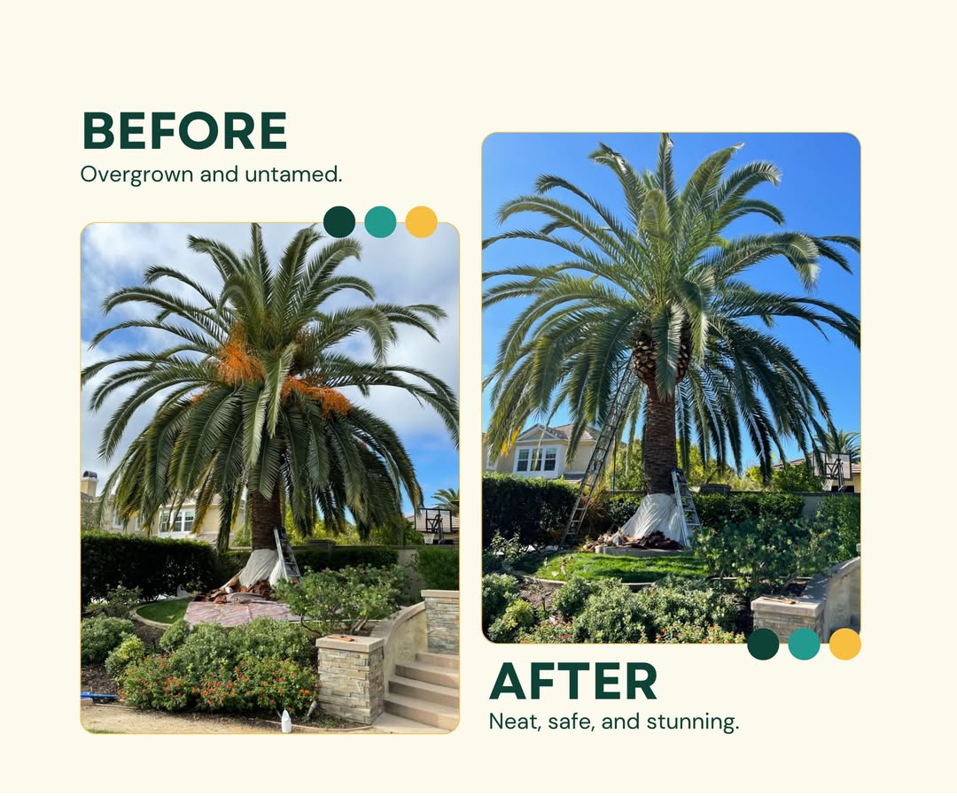 Ranch Precision Trimming